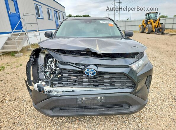 4T3LWRFV4MU033345 2021 TOYOTA RAV4 Black Front view