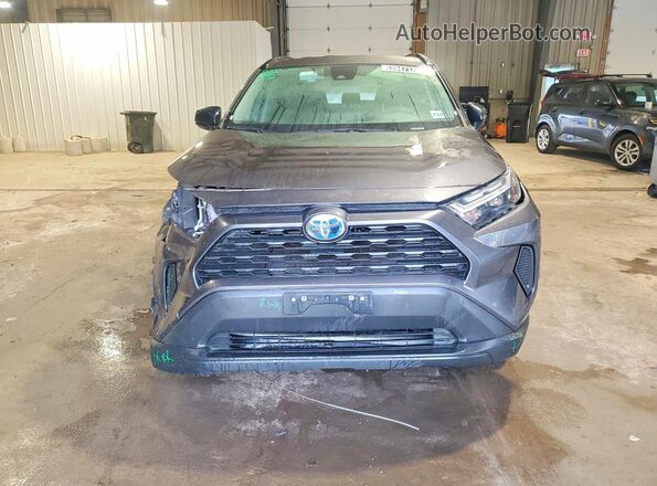 4T3LWRFV7RU129901 2024 TOYOTA RAV4 Gray Front view