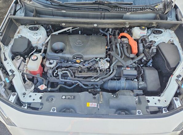 4T3MWRFV9PU088477 2023 TOYOTA RAV4 White Engine compartment view