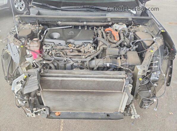 4T3RWRFV0LU002134 2020 TOYOTA RAV4 Black Вид задньої частини салону