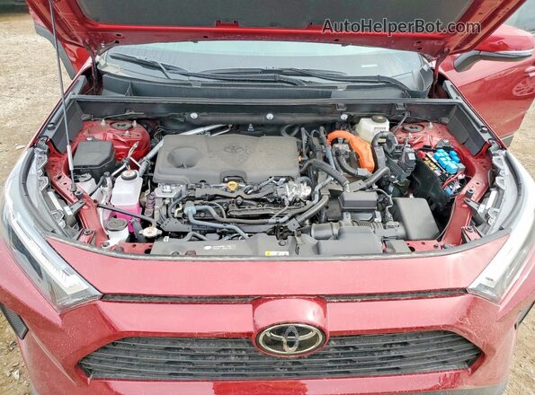 4T3RWRFV0SU197473 2019 TOYOTA RAV4 Бордовый Вид задней части салона
