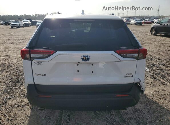 4T3RWRFV3MU048381 2021 TOYOTA RAV4 Белый Вид сзади