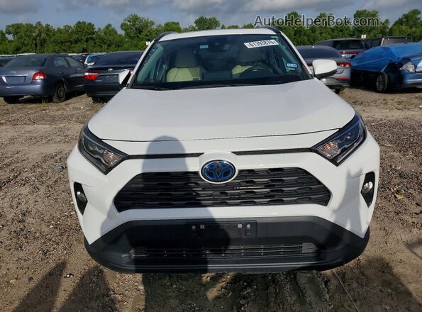 4T3RWRFV3MU048381 2021 TOYOTA RAV4 Белый Вид спереди