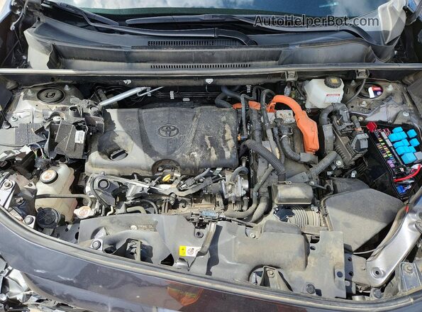 4T3RWRFV4NU074912 2022 TOYOTA RAV4 Серый Вид задней части салона