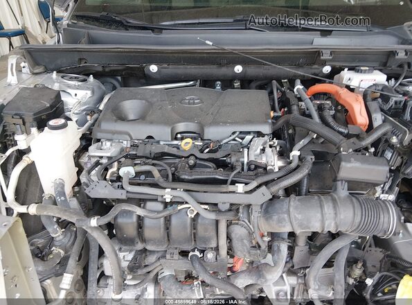 4T3RWRFV6MU017528 2021 TOYOTA RAV4 HYBRID Silver Widok z tyłu