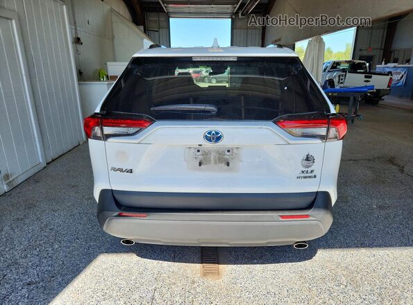 4T3RWRFV8MU035772 2021 TOYOTA RAV4 White Rear view