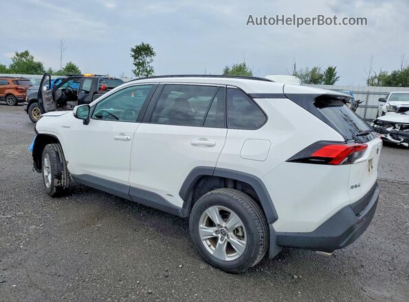 4T3RWRFV8MU035772 2021 TOYOTA RAV4 White Rear left