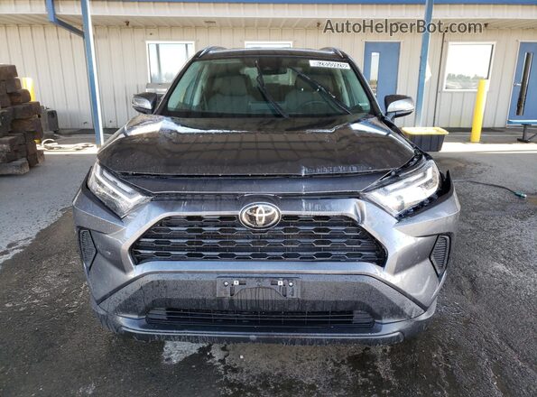 4T3RWRFV8SU175950 2025 TOYOTA RAV4 Gray სალონის 360-გრადუსიანი ხედი
