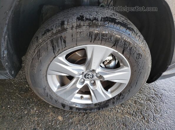 4T3RWRFV8SU175950 2025 TOYOTA RAV4 Gray 