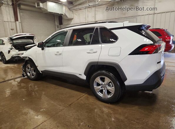 4T3RWRFV8SU197169 2025 TOYOTA RAV4 White Tył lewy