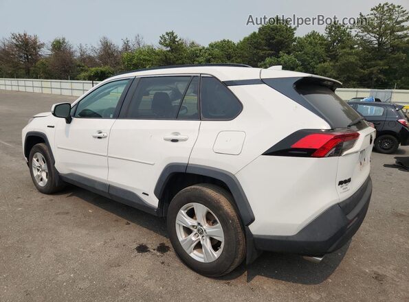4T3RWRFVXMU026541 2021 TOYOTA RAV4 White 