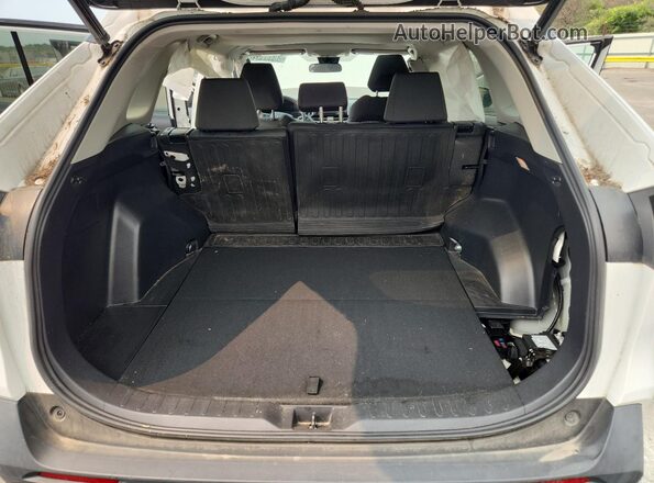 4T3RWRFVXMU026541 2021 TOYOTA RAV4 White 
