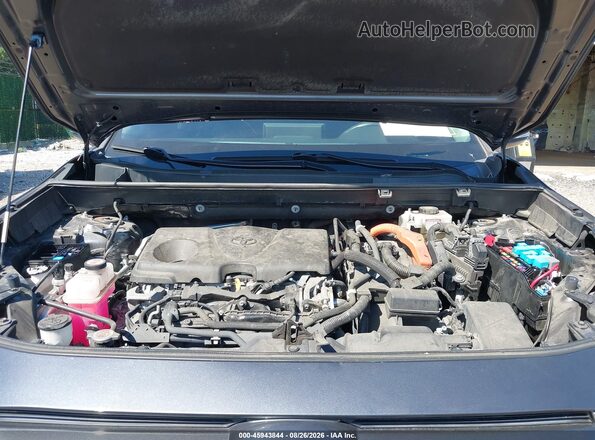 4T3RWRFVXMU044439 2021 TOYOTA RAV4 HYBRID Gray Widok z tyłu