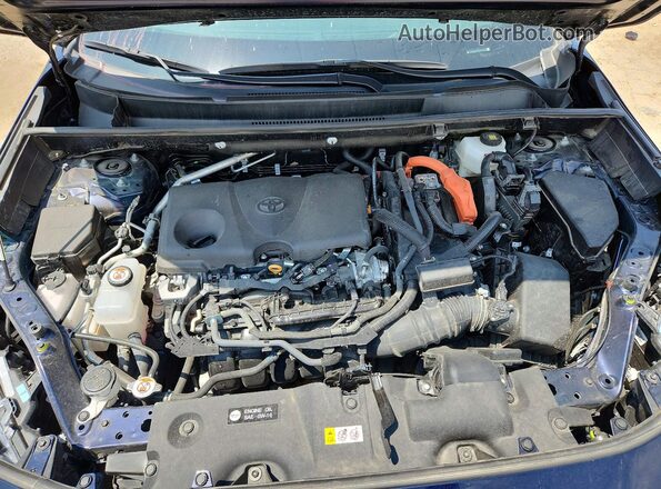 4T3RWRFVXSU187002 2025 TOYOTA RAV4 Blue Rear interior view