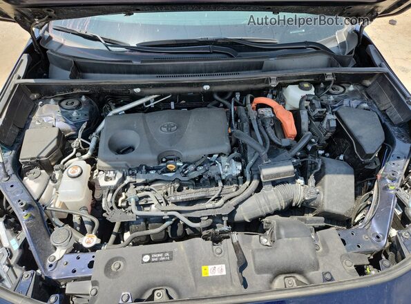 4T3RWRFVXSU187002 2025 TOYOTA RAV4 Blue 