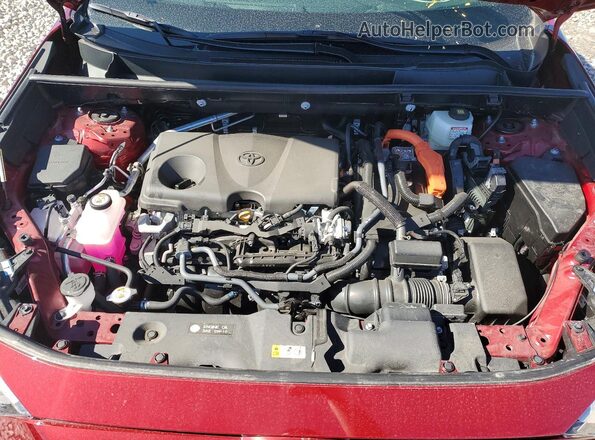 4T3RWRFVXSU210455 2025 TOYOTA RAV4 Red Widok wnętrza z tyłu