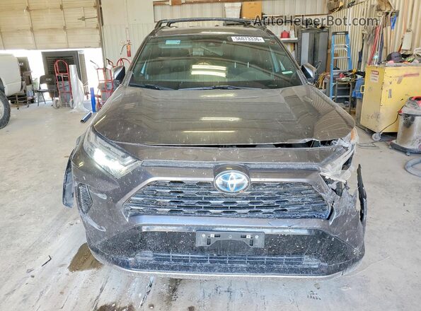 4T3T6RFV0PU129509 2023 TOYOTA RAV4 Gray Front view
