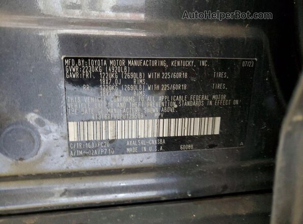 4T3T6RFV0PU129509 2023 TOYOTA RAV4 Gray VIN sticker view