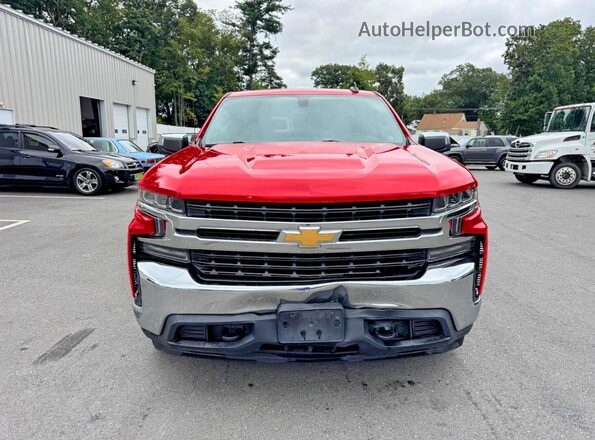 1GCPYDEKXKZ255942 2019 CHEVROLET SILVERADO Красный Вид сзади