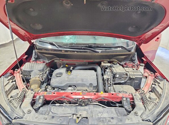 3GKALTEG1RL262388 2024 GMC TERRAIN Red Вид наклейки з VIN-кодом