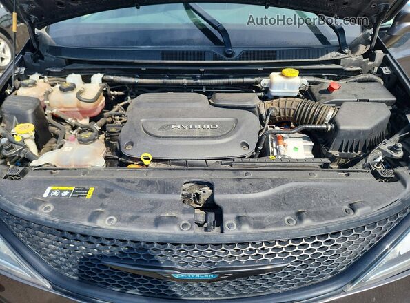 2C4RC1N74LR257926 2020 CHRYSLER PACIFICA Gray Vista de la etiqueta del VIN