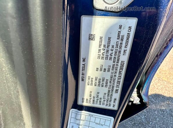 5YJ3E1EA1PF385831 2023 TESLA MODEL Синий Вид задней части салона