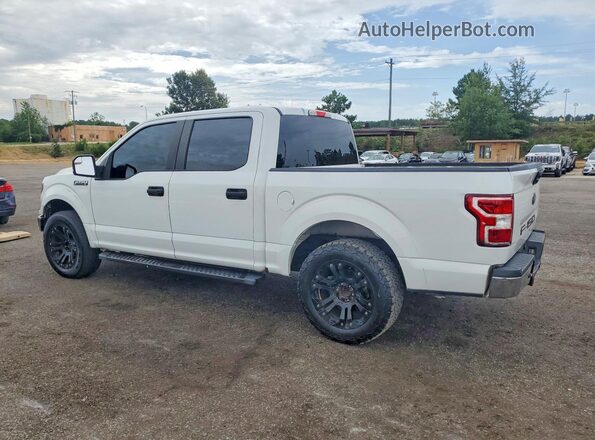 1FTEW1CB0KFD16523 2019 FORD F150 White Tył prawy