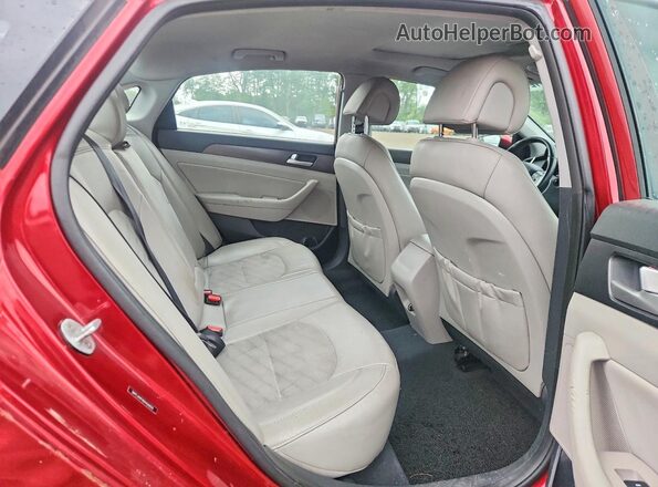 5NPE34AF8GH426829 2016 HYUNDAI SONATA Красный Вид задней части салона