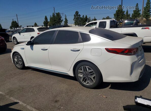 KNAGU4LE9L5040924 2020 KIA OPTIMA White Հետևի աջ