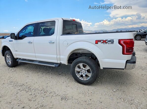 1FTEW1EPXHKD24993 2017 FORD F150 White Tył prawy