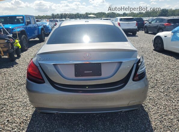 55SWF8DB7KU321717 2019 MERCEDES-BENZ C Gray Rear view