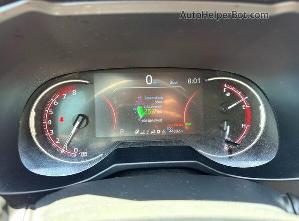 2T3P1RFV4PW374488 2023 TOYOTA RAV4 Red უკანა ხედი