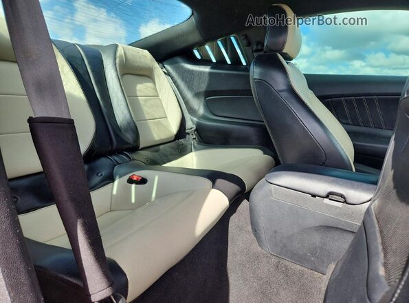 1FA6P8THXL5108306 2020 FORD MUSTANG Red Vista interior trasera