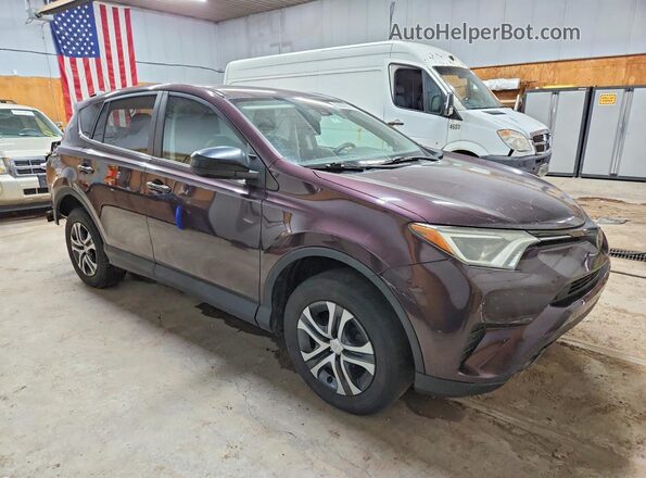 2T3BFREV0HW684975 2017 TOYOTA RAV4 Purple Front view