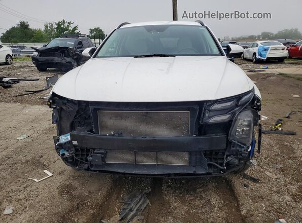 5NMJBCDE8SH545551 2025 HYUNDAI TUCSON White Հետևի տեսք