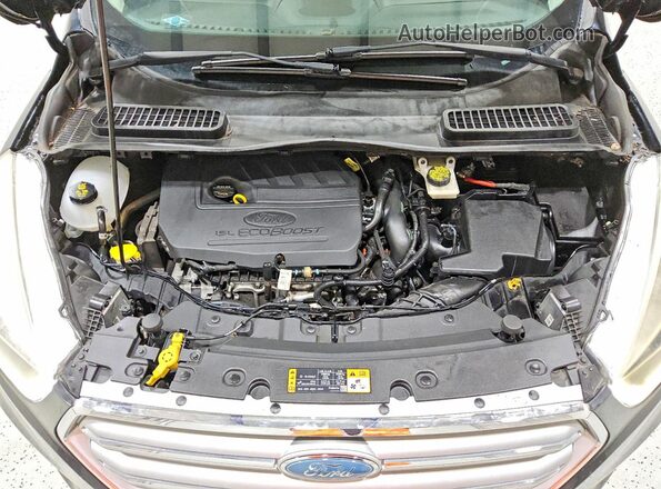 1FMCU0GD6HUC07373 2017 FORD ESCAPE Black Vista de la etiqueta del VIN