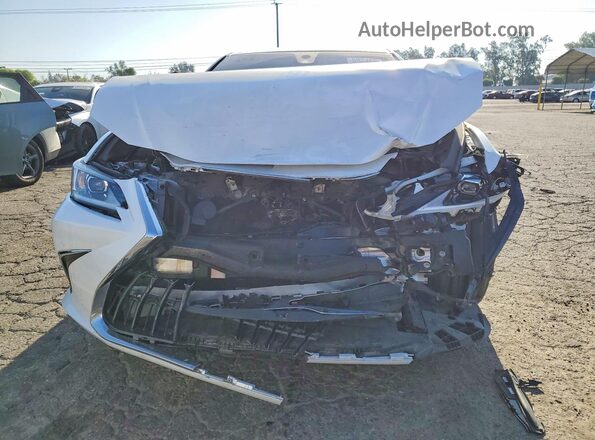 58ACZ1B17SU189471 2025 LEXUS ES Белый Вид спереди