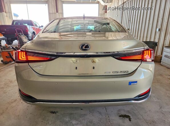 58AD11D18MU006297 2021 LEXUS ES Tan Հետևի տեսք