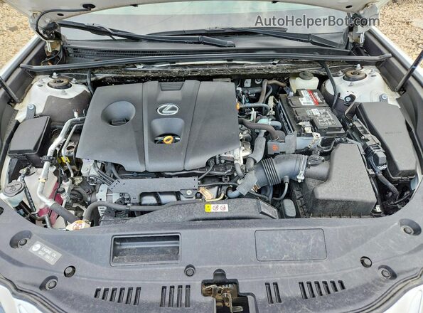 58AD11D1XMU001876 2021 LEXUS ES White Սալոնի հետևի տեսք