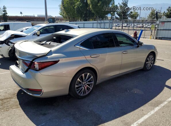 58AD21B15LU011276 2020 LEXUS ES Beige Հետևի աջ
