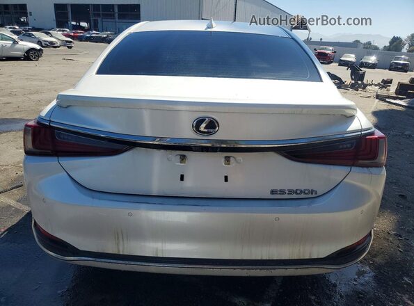 58ADA1C11PU036666 2023 LEXUS ES White Widok z tyłu