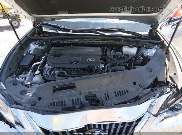 58ADA1C14RU042528 2024 LEXUS ES 300H Gray Widok z tyłu