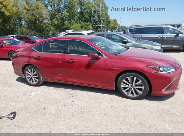 58ADA1C19MU009324 2021 LEXUS ES 300H Red Սալոնի հետևի տեսք