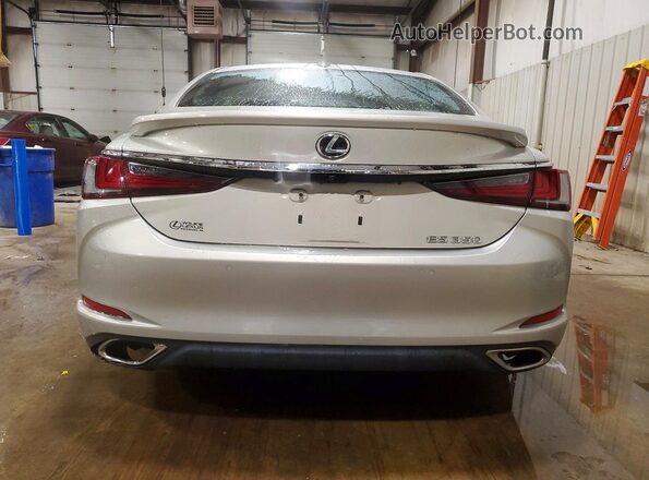58ADZ1B1XMU108759 2021 LEXUS ES Beige უკანა ხედი