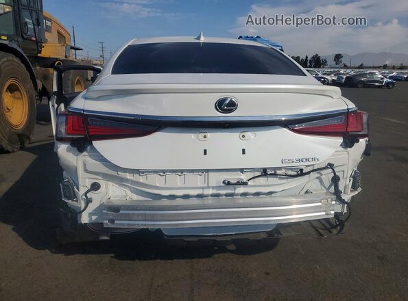 58AEA1C13SU076597 2025 LEXUS ES White Widok z tyłu