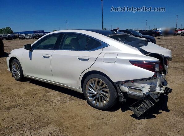 58AEZ1B16LU078176 2020 LEXUS ES White Rear left