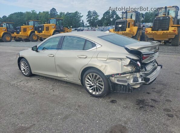 58AF21B12LU010594 2020 LEXUS ES Gold Tył lewy