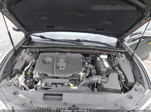 58AG11D13MU005264 2021 LEXUS ES 250 Gray Вид ззаду