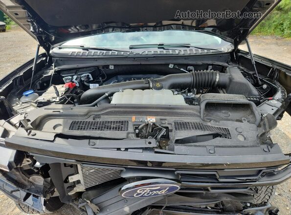 1FMJK1J85TEA05335 2026 FORD EXPEDITION Black 