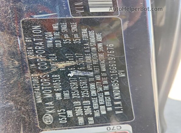 KNDMB5C16G6097676 2016 KIA SEDONA Угольный Панорамный вид салона 360°